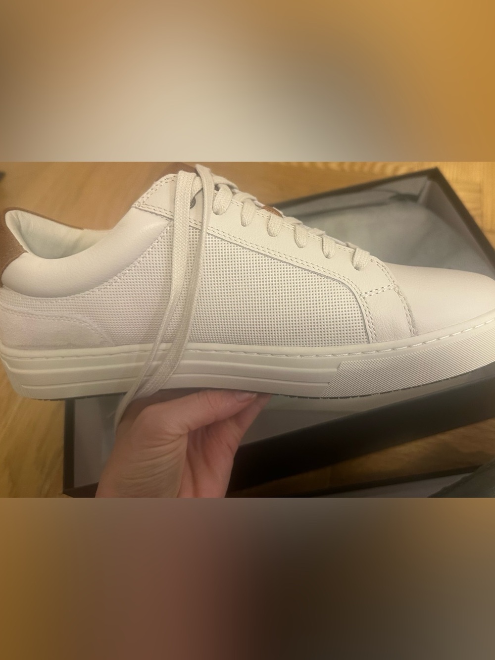 Rodd & Gunn Beige Suede Sneaker with Brown Leather Heel Tab